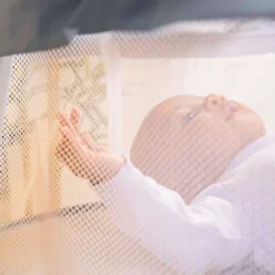 Bright Starts Disney Baby Winnie The Pooh Soothing Baby Bassinet - Slumber Party -Delta Children Sales Store GUEST 1a668770 99c0 4a74 a007 2fa3c4c493ce