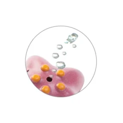 Plantoys| Sea Life Bath Set -Delta Children Sales Store GUEST 4c30beb0 8d92 4060 a861 f5897cef0192