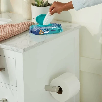 Charmin Flushable Wipes 1 Charmin Flushable Wipes