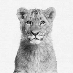 Black And White Nursery Safari - 4 Piece Framed Gallery Wall Set - Americanflat With Mat -Delta Children Sales Store GUEST 710eec6d b866 4e9f a3eb 5ca77fcf531c