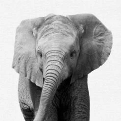 Black And White Nursery Safari - 4 Piece Framed Gallery Wall Set - Americanflat With Mat -Delta Children Sales Store GUEST 8d7eaf7a b03f 485e 8a80 f7f65ca02f1e