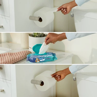 Charmin Flushable Wipes 3 Charmin Flushable Wipes - Image 3